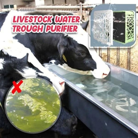 💦Horse Trough Water Purifier Cube💦