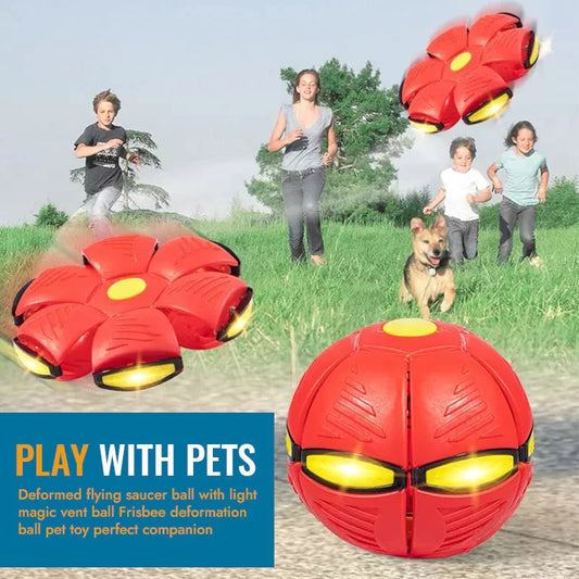 2024 Hot Sale⚽Pet Toy Flying Saucer Ball(49% OFF & BUY 2 FREE SHIPPING🔥)