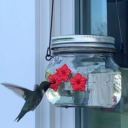 💗Mother's Day Gift -Beautiful Mason Jar Hummingbird Feeder w\/Three Ports
