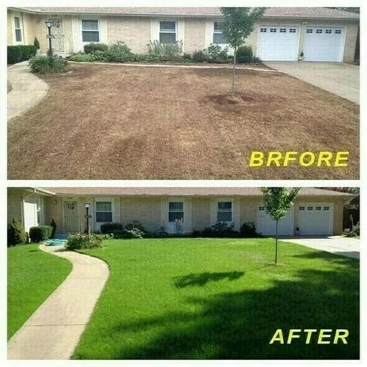 š„Biodegradable Grass Seed Mat