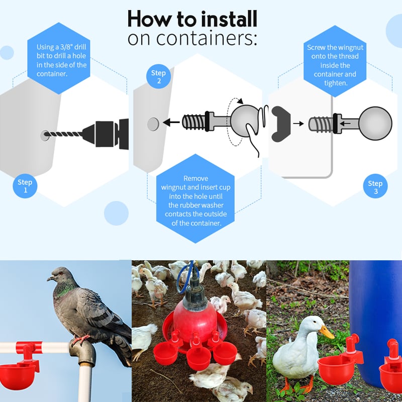 (💦EARLY SUMMER HOT SALE- 49% OFF💦)  🎉Automatic Poultry Water Bowl (5Pcs\/set) 💥 BUY 2 GET 1 FREE