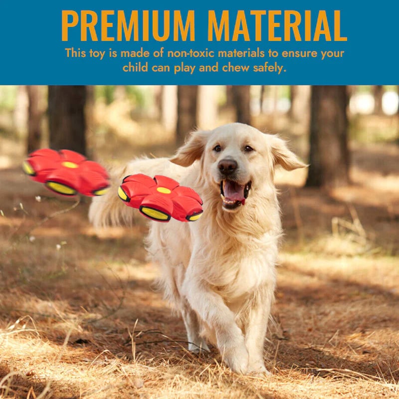 2024 Hot Sale⚽Pet Toy Flying Saucer Ball(49% OFF & BUY 2 FREE SHIPPING🔥)