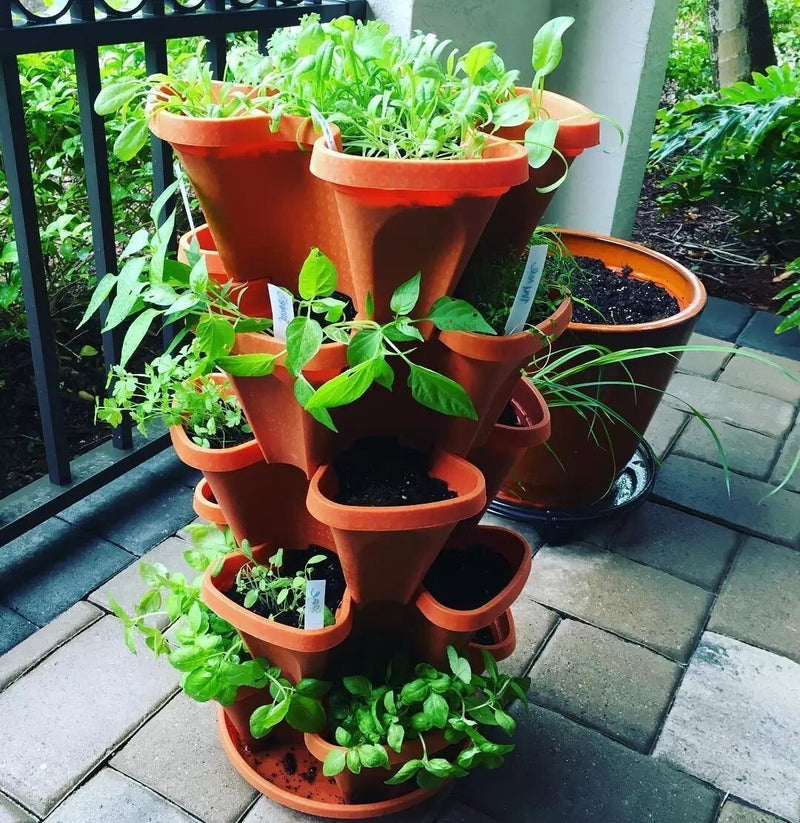 🌼Plant Festival Special - Stand Stacking Planters Strawberry Planting Pots
