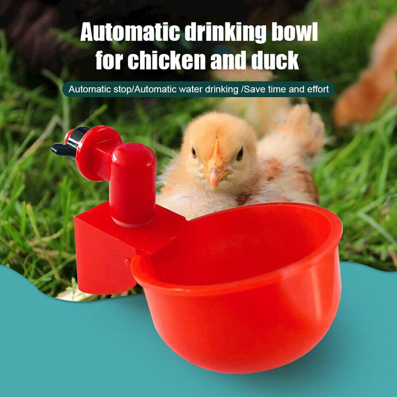 (💦EARLY SUMMER HOT SALE- 49% OFF💦)  🎉Automatic Poultry Water Bowl (5Pcs\/set) 💥 BUY 2 GET 1 FREE