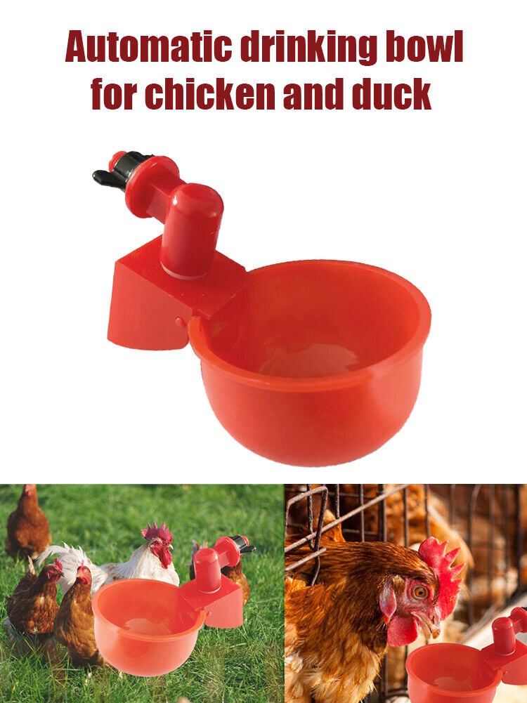 (💦EARLY SUMMER HOT SALE- 49% OFF💦)  🎉Automatic Poultry Water Bowl (5Pcs\/set) 💥 BUY 2 GET 1 FREE