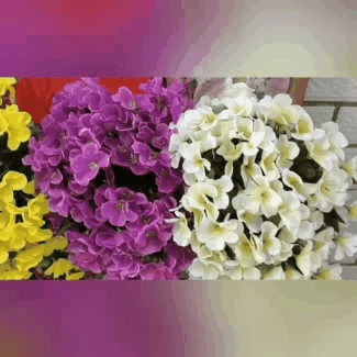 🌺Vivid Artificial Hanging Orchid Bunch🌷