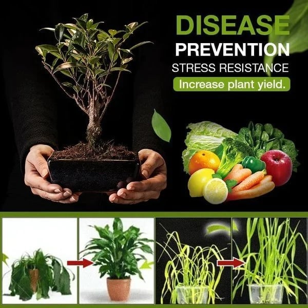 🔥Last Day Promotion Save 49%🔥 Soil Revitalization Treasures -- Create the Perfect Garden