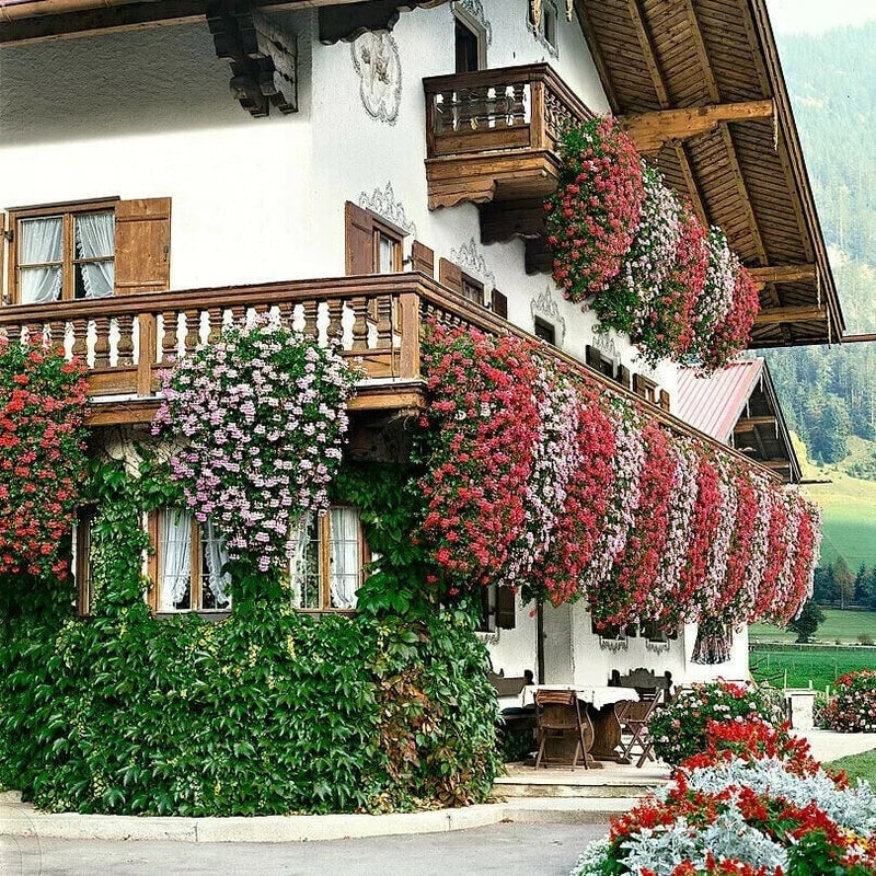 🌺Vivid Artificial Hanging Orchid Bunch🌷