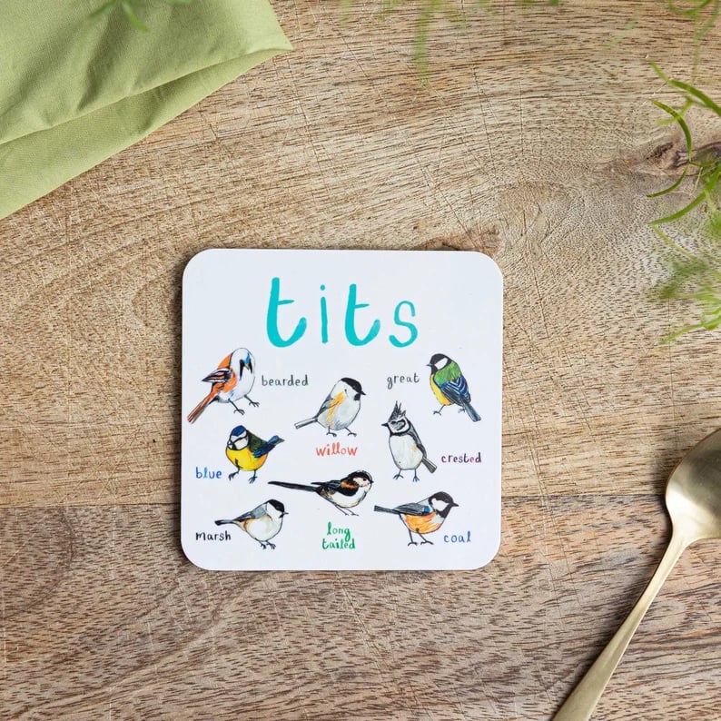 Last Day 47% OFF🐦Set of 6 Bird Pun Coasters