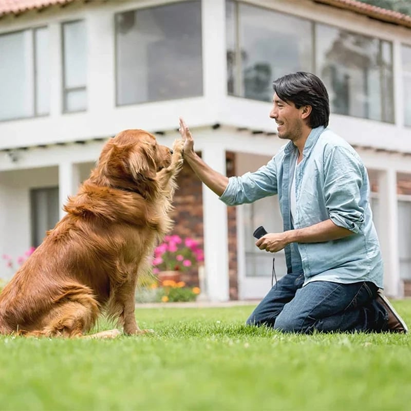 🔥48% OFF🔥Ultrasonic Anti Barking Dog Device-Buy 2 Free Shipping