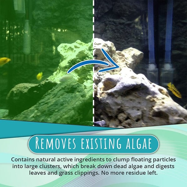 🔥Limited Time Sale 48% OFF🎉NEW Algae Repellent Agent