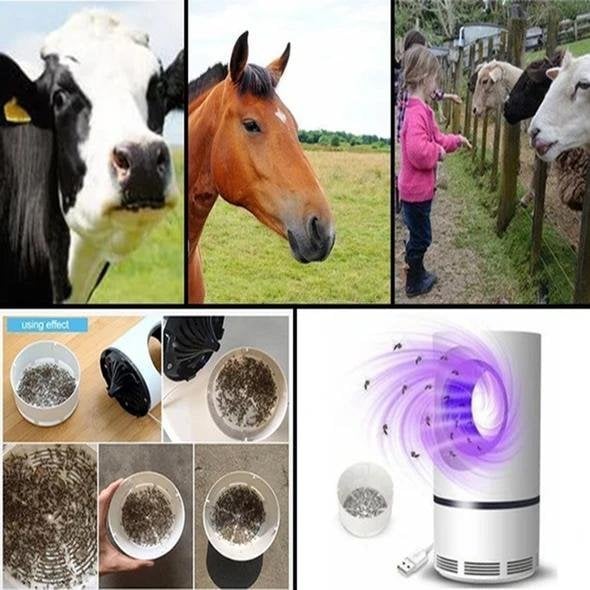 🎅Mosquito And Flies Killer Trap (BUY 2 FREE 1 NOW)