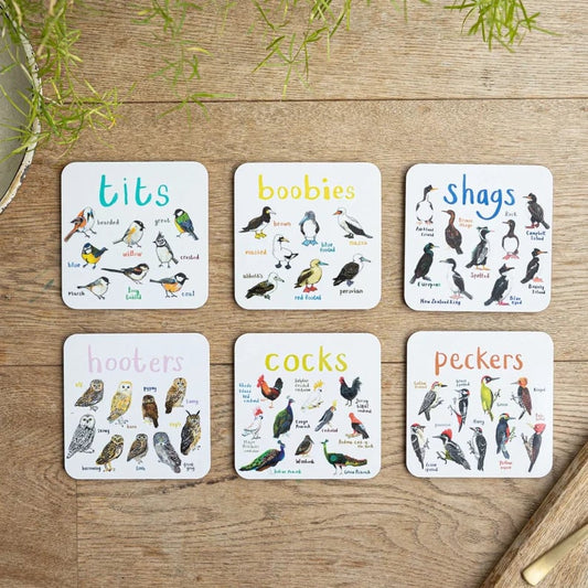 Last Day 47% OFF🐦Set of 6 Bird Pun Coasters
