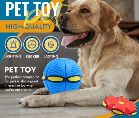 2024 Hot Sale⚽Pet Toy Flying Saucer Ball(49% OFF & BUY 2 FREE SHIPPING🔥)