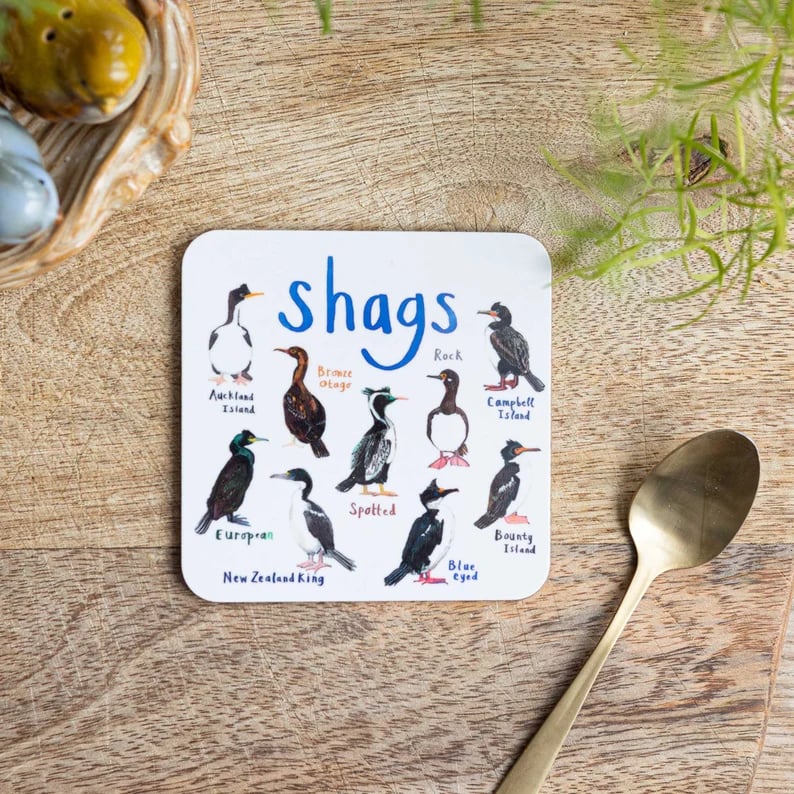 Last Day 47% OFF🐦Set of 6 Bird Pun Coasters