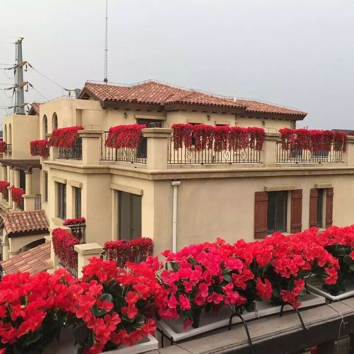 🔥🏡Vivid Artificial Hanging Orchid Bunch